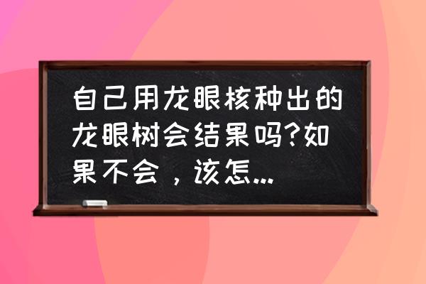 桂圆种子盆栽能结果吗 自己用龙眼核种出的龙眼树会结果吗?如果不会，该怎么做才会结果？