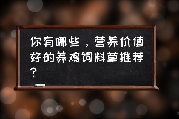 南瓜喂鸡最佳配方 你有哪些，营养价值好的养鸡饲料草推荐？