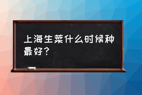 生菜几月份种比较长得好 上海生菜什么时候种最好？