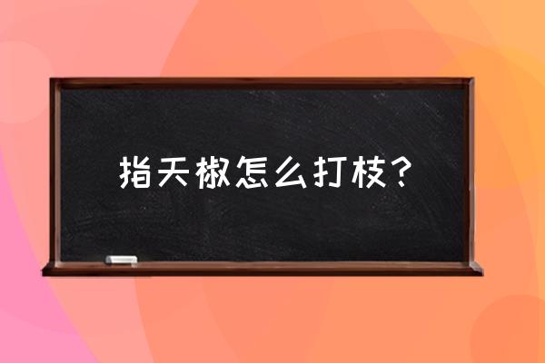 朝天椒摘心打顶方法及示意图 指天椒怎么打枝？