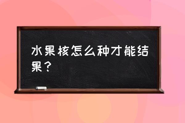 超轻粘土果子教程 水果核怎么种才能结果？