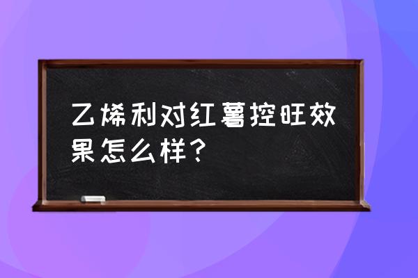 红薯怎么控旺最快最好 乙烯利对红薯控旺效果怎么样？