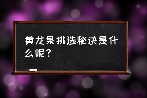 用霸王花做砧木 黄龙果挑选秘诀是什么呢？