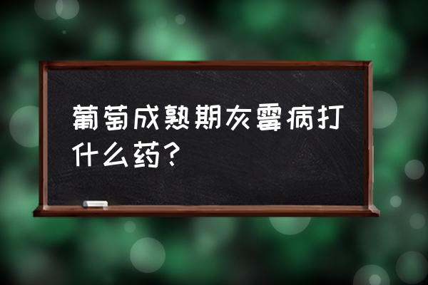 葡萄成熟期的病害及防治方法 葡萄成熟期灰霉病打什么药？