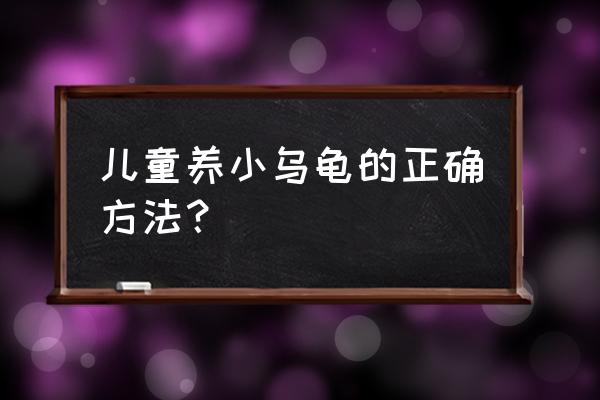 怎样照顾好一只乌龟 儿童养小乌龟的正确方法？