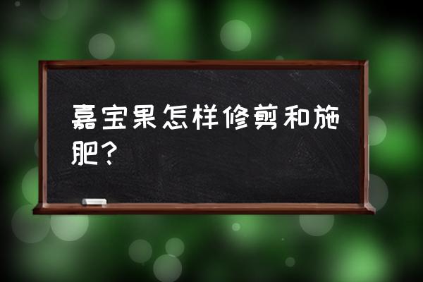 嘉宝果最佳肥料是什么 嘉宝果怎样修剪和施肥？