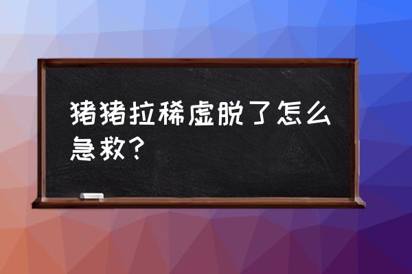 猪腹泻最有效的方法 猪猪拉稀虚脱了怎么急救？