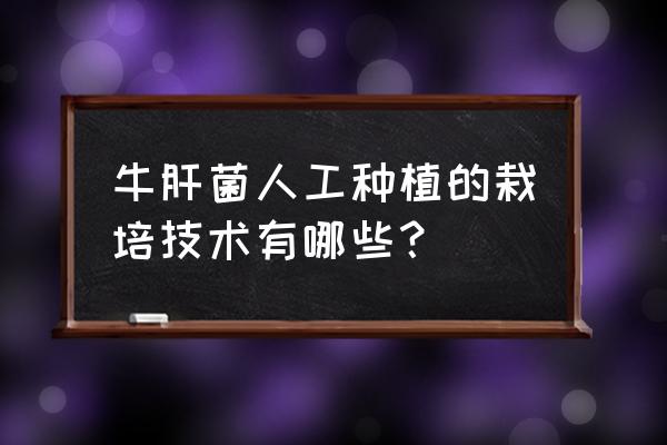 酒精灯一般哪种实体店有卖 牛肝菌人工种植的栽培技术有哪些？