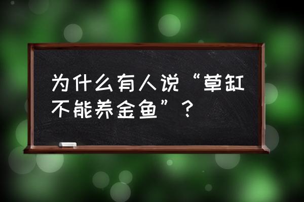 养草金鱼怎么养才长得快 为什么有人说“草缸不能养金鱼”？