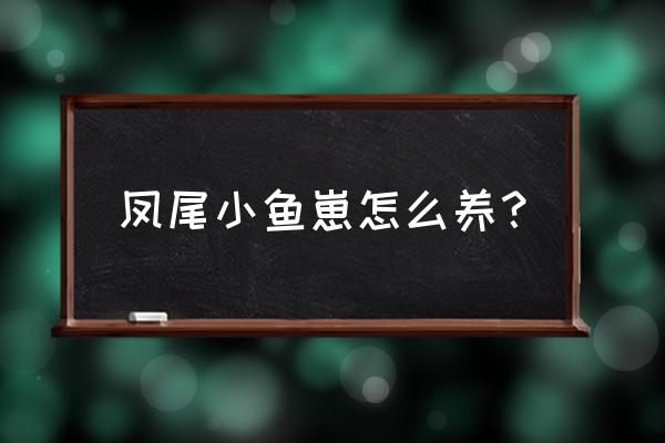 刚下的凤尾鱼怎么养殖 凤尾小鱼崽怎么养？