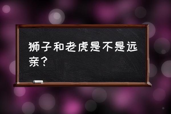 混种狮子位置 狮子和老虎是不是远亲？