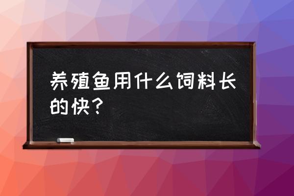 怎么让顺产快的方法 养殖鱼用什么饲料长的快？