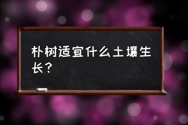 朴树盆景造型方法 朴树适宜什么土壤生长？