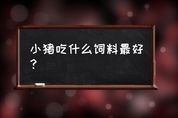 耐酸加药泵型号参数 小猪吃什么饲料最好？