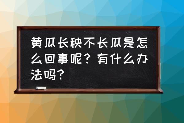 买黄瓜怎么挑选 黄瓜长秧不长瓜是怎么回事呢？有什么办法吗？