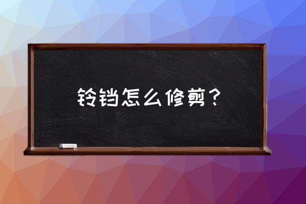 简单铃铛怎么剪 铃铛怎么修剪？