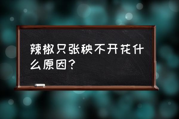 辣椒苗长不高就开花结果什么原因 辣椒只张秧不开花什么原因？