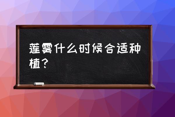 台湾树葡萄苗安徽南方可以种植吗 莲雾什么时候合适种植？