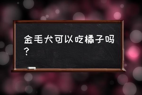 吃橘子过敏是什么原因 金毛犬可以吃橘子吗？