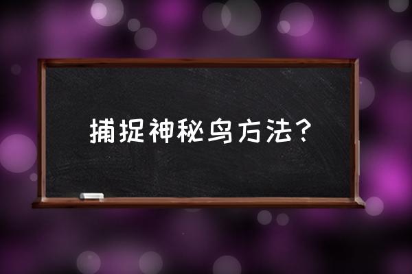 找云雀窝秘诀 捕捉神秘鸟方法？