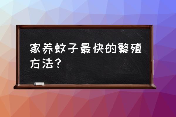 怎么能快速繁殖蚊子幼虫 家养蚊子最快的繁殖方法？