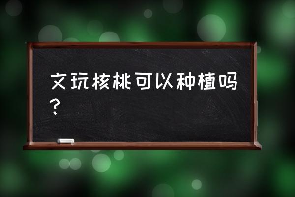 文玩核桃树是怎么种出来的 文玩核桃可以种植吗？