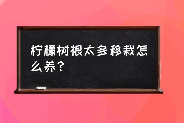 种柠檬树教程 柠檬树根太多移栽怎么养？