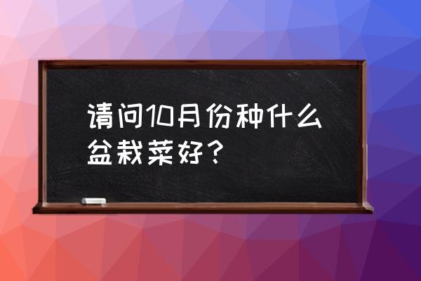 矮生番茄苗怎么养 请问10月份种什么盆栽菜好？