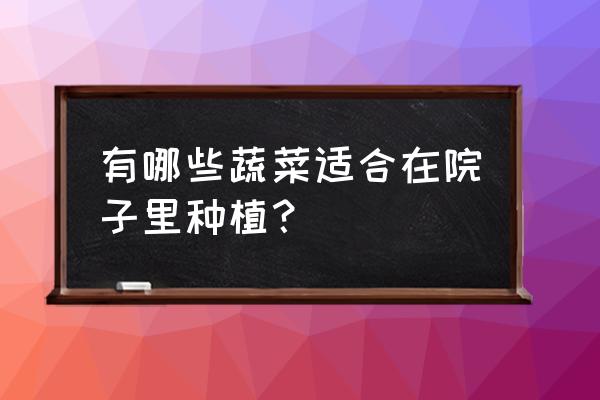 过完春节适合种的菜 有哪些蔬菜适合在院子里种植？