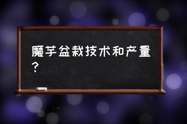 魔芋生长最佳海拔气候 魔芋盆栽技术和产量？