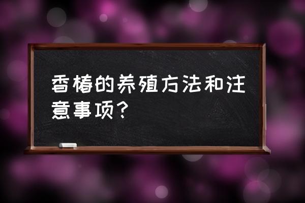 香椿种植方法和技巧 香椿的养殖方法和注意事项？