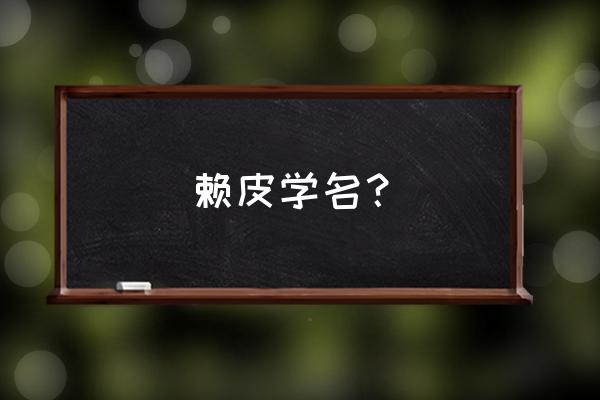 荔枝草的功效与禁忌和储存方法 赖皮学名？