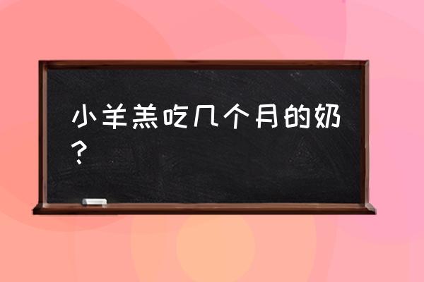 僵羊处理方法 小羊羔吃几个月的奶？