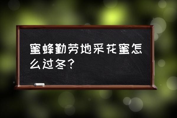 我的世界蜂蜜怎么采 蜜蜂勤劳地采花蜜怎么过冬？