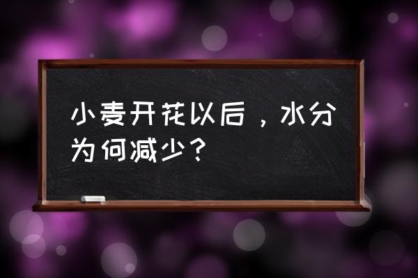 小麦水分调节的方法有哪两种 小麦开花以后，水分为何减少？