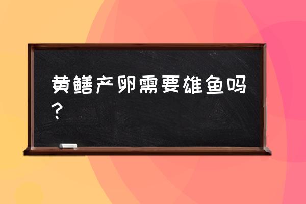 黄鳝自然繁殖五步骤 黄鳝产卵需要雄鱼吗？