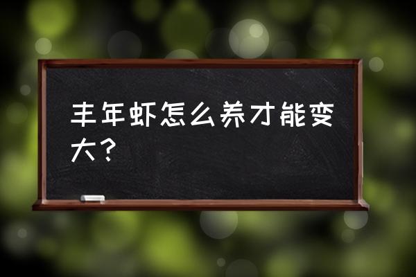 丰年虾怎么养才能长得大 丰年虾怎么养才能变大？