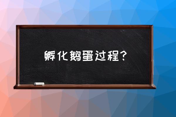 孵化鹅蛋的最佳方法 孵化鹅蛋过程？