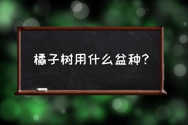 柑橘类哪种适合盆栽 橘子树用什么盆种？