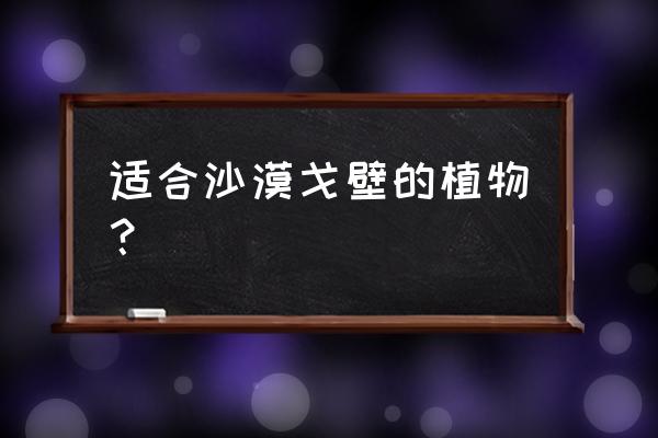 什么花的种子撒在地上就能活 适合沙漠戈壁的植物？