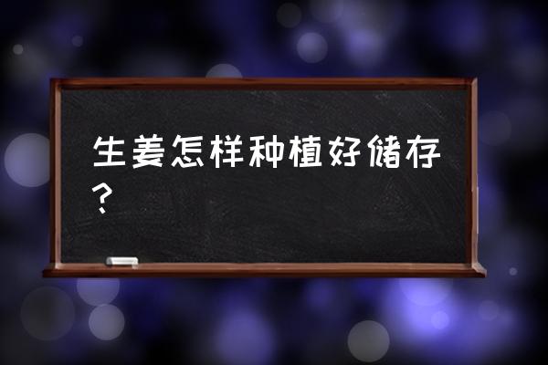 湿麦的储存方法和注意事项 生姜怎样种植好储存？