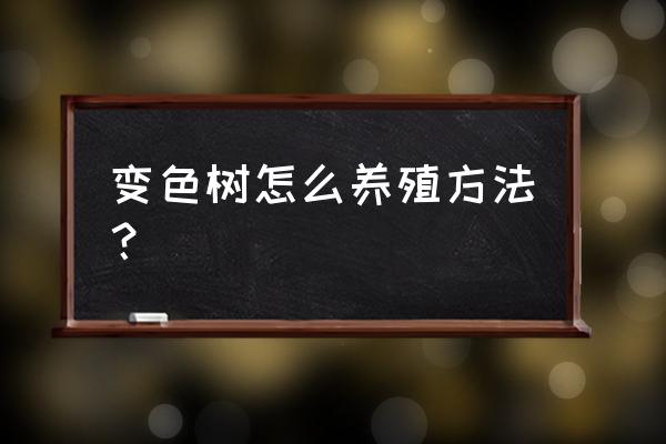 超轻粘土树教程 变色树怎么养殖方法？