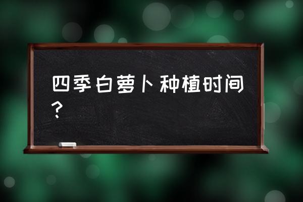 春萝卜的品种和种植时间和方法 四季白萝卜种植时间？