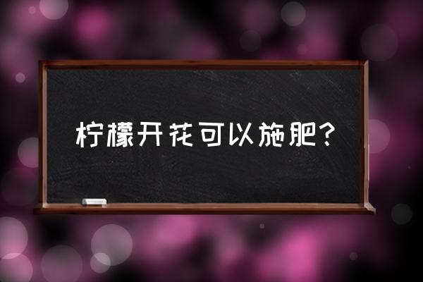 盆栽柠檬开花期怎样施肥 柠檬开花可以施肥？