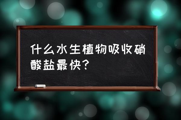 硝酸钾怎么被植物吸收 什么水生植物吸收硝酸盐最快？