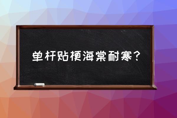 皱皮木瓜海棠花怎么栽培 单杆贴梗海棠耐寒？