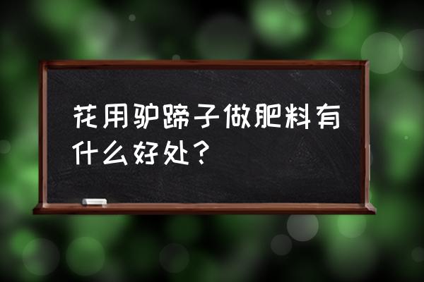 驴蹄子修理后蹄子能干啥 花用驴蹄子做肥料有什么好处？