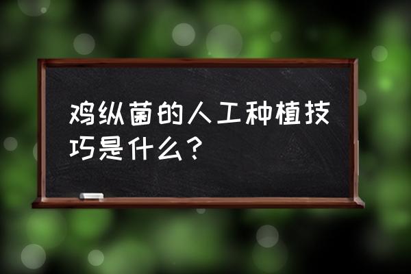 食用菌工厂化栽培技术流程 鸡纵菌的人工种植技巧是什么？