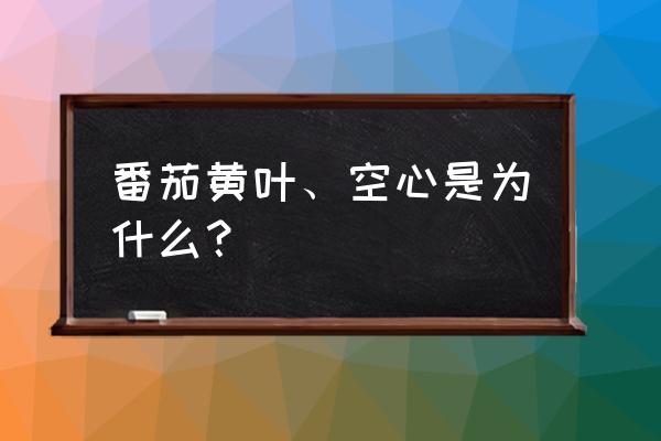 番茄黄叶病如何防治 番茄黄叶、空心是为什么？