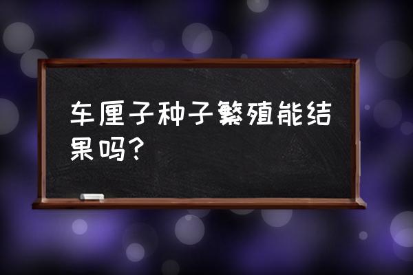 车厘子树苗怎么种才会结果 车厘子种子繁殖能结果吗？